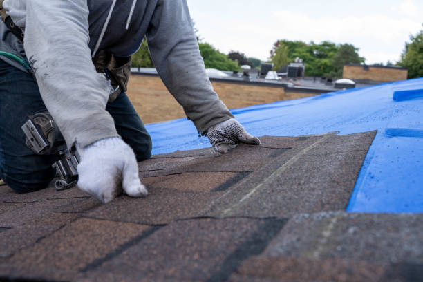 Best Tile Roofing Contractor  in Dollar Bay, MI