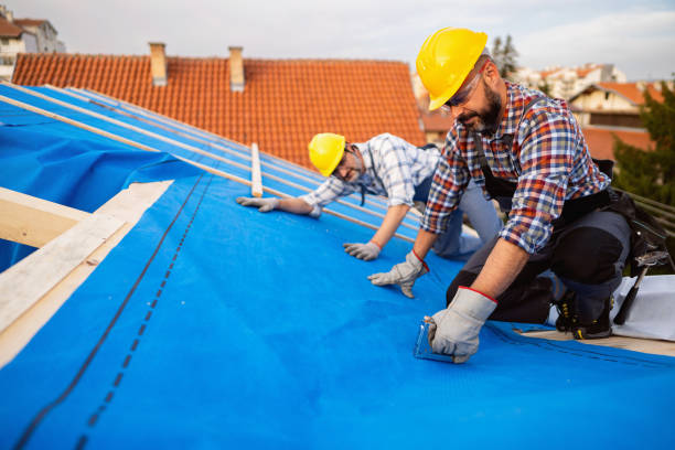 Best Best Roofing Contractors  in Dollar Bay, MI
